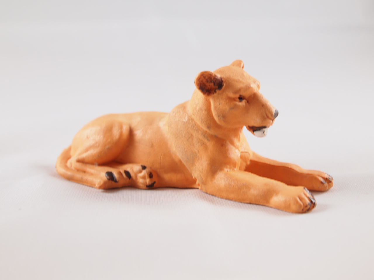 Britains Lioness Lying