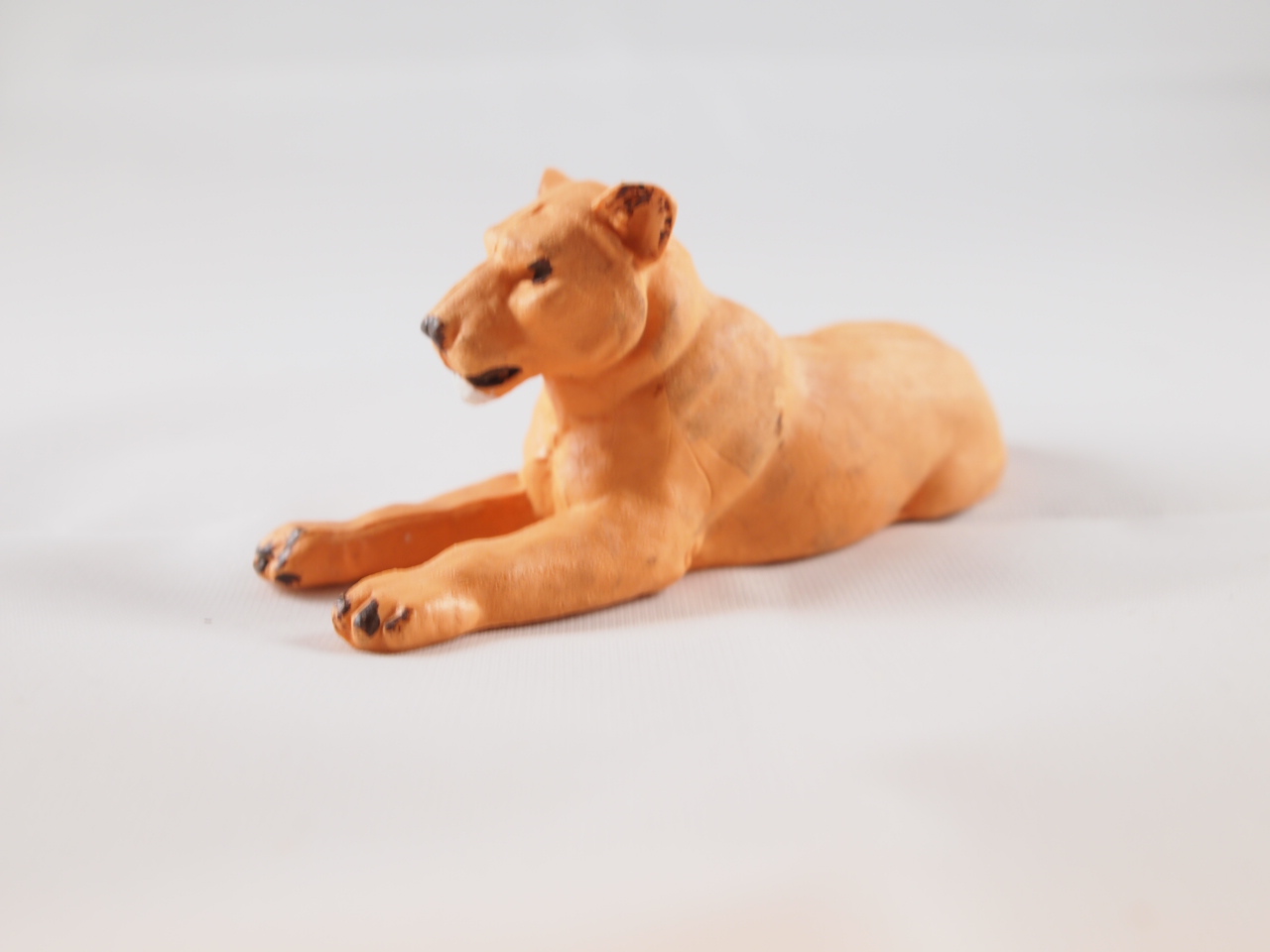 Britains Lioness Lying